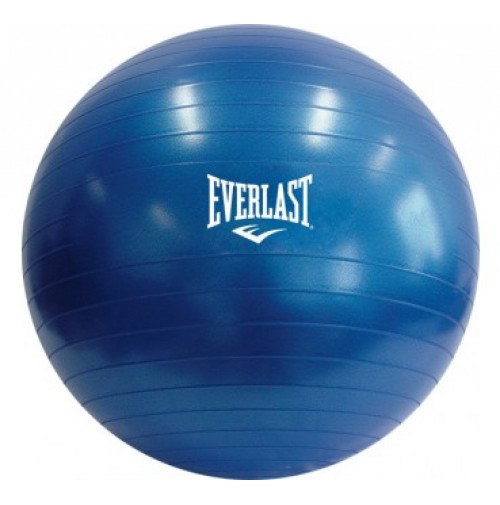 everlast exercise ball