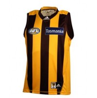 Hawthorn Hawks 2015 Home Guernsey - Youths